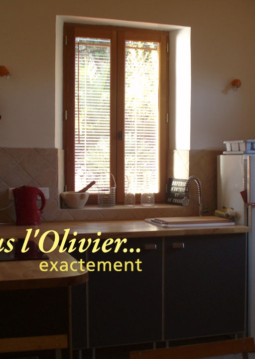 Gîte Sous l'olivier - The kitchen