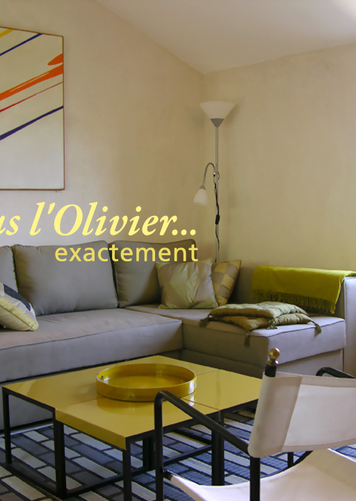 Gîte Sous l'olivier - The living-room